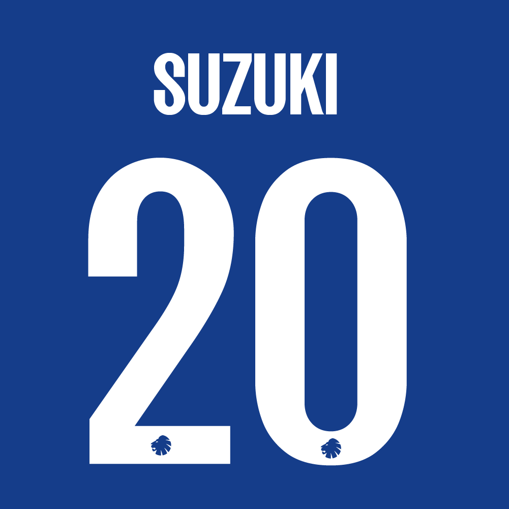 Spillertryk Voksen Udebane 24/25