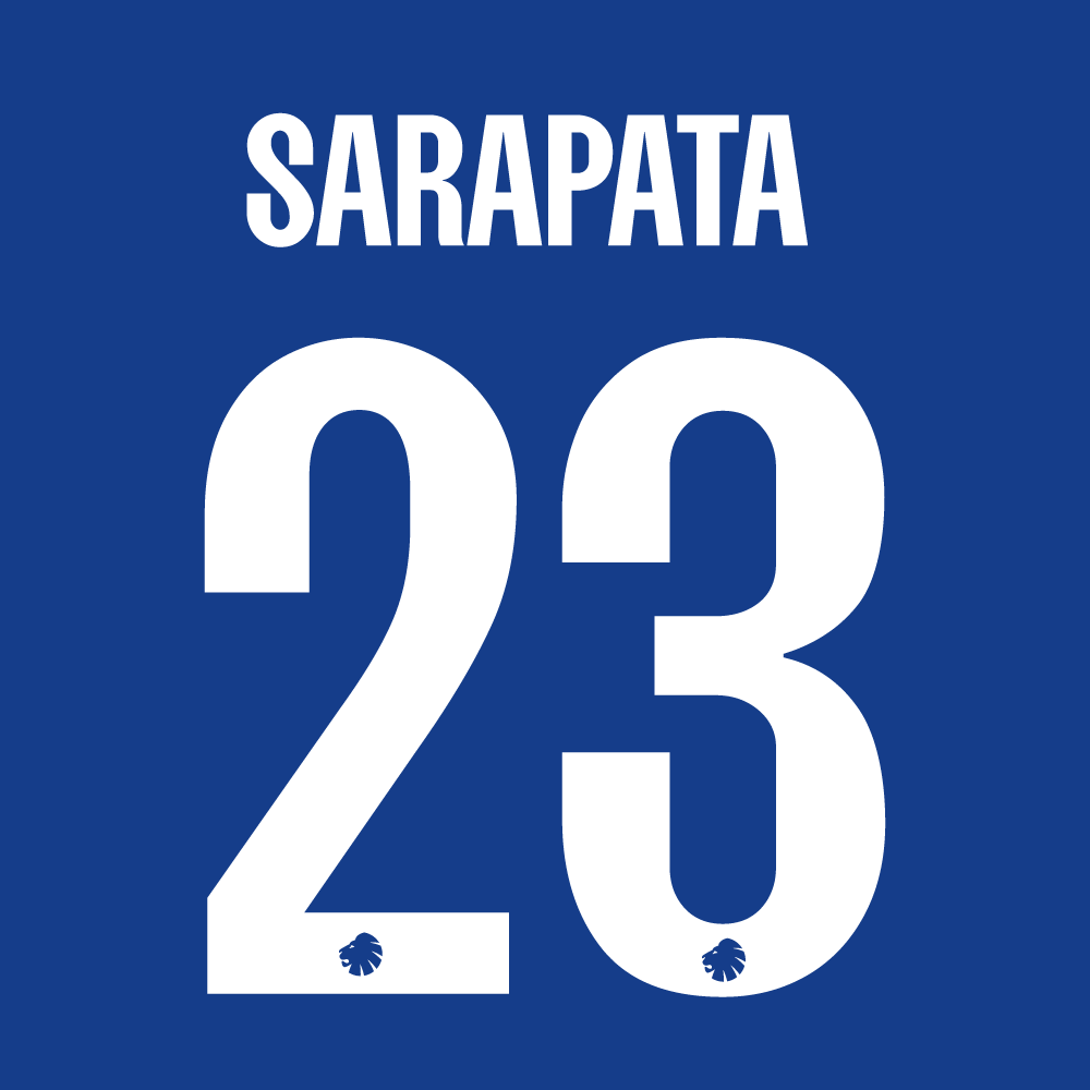 Spillertryk Voksen Udebane 24/25