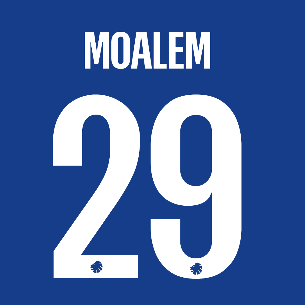 Spillertryk Voksen Udebane 24/25