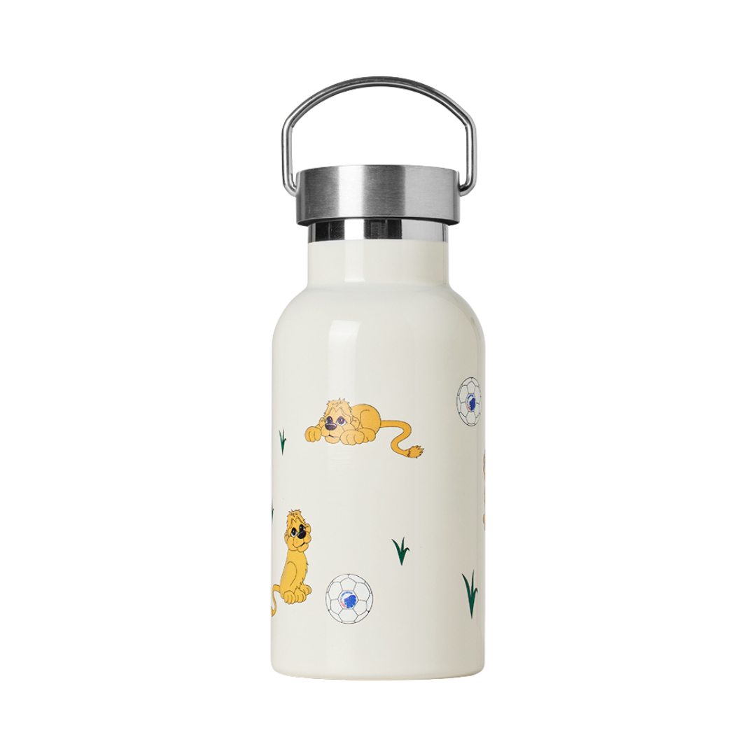 Thermal bottle