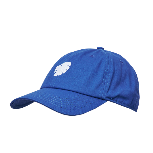 Dad Cap