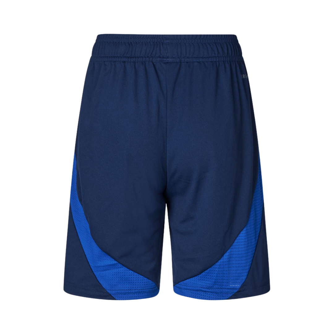 FCK Udebaneshorts 24/25 Barn (Herrehold)