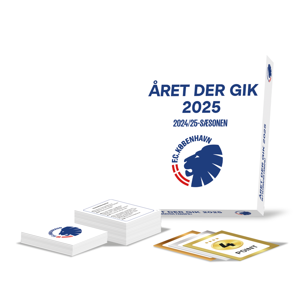 Året der gik 2025 Fan Game