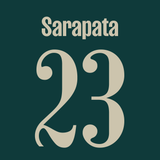 Player Print Adult 3rd jersey 24/25