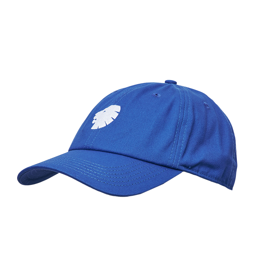 Dad Cap