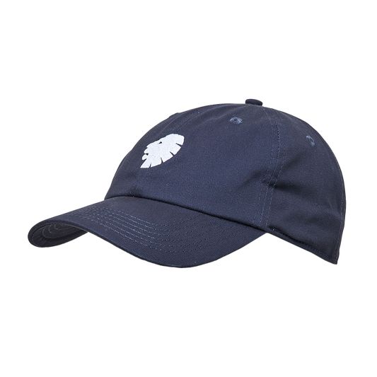 Dad Cap
