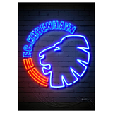 P & F - TOT CPH Neon