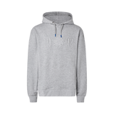 Hoodie Lifestyle Grey