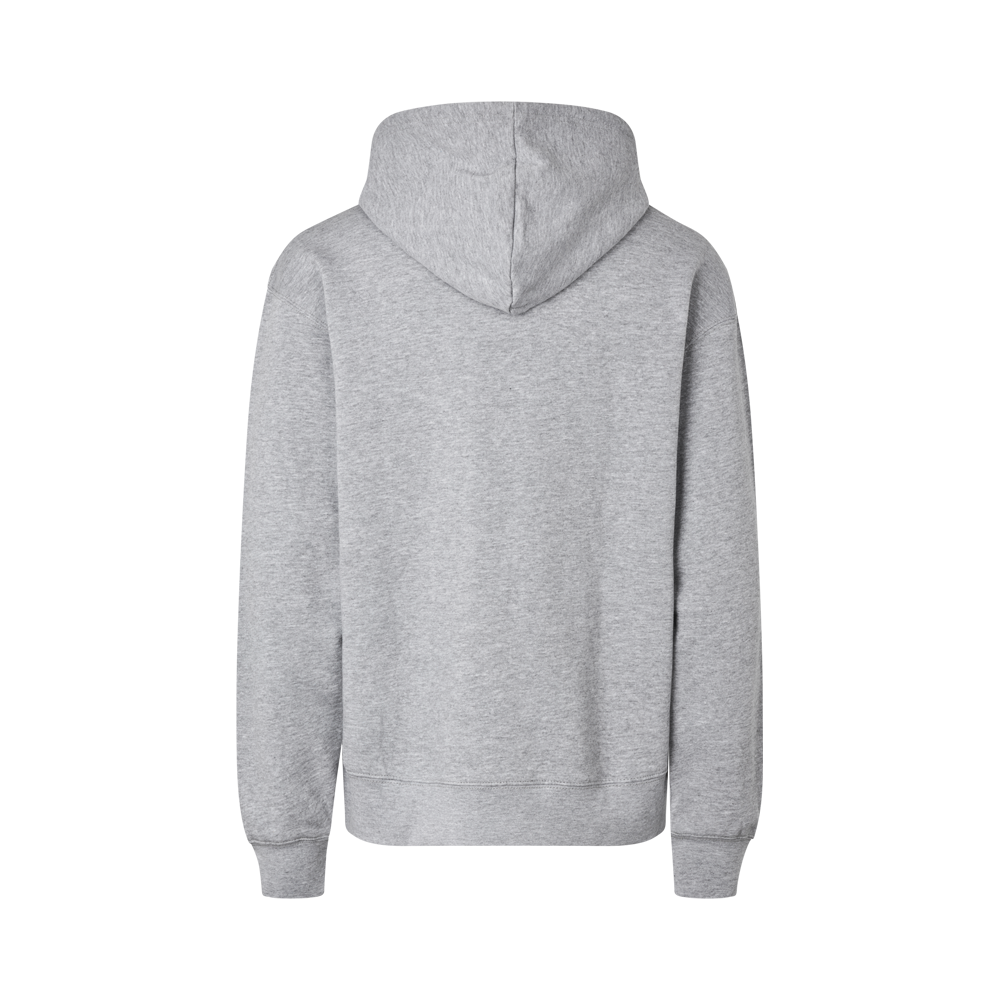 Hoodie Lifestyle Grey