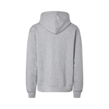 Hoodie Lifestyle Grey