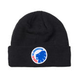 Champions League Hue Sort