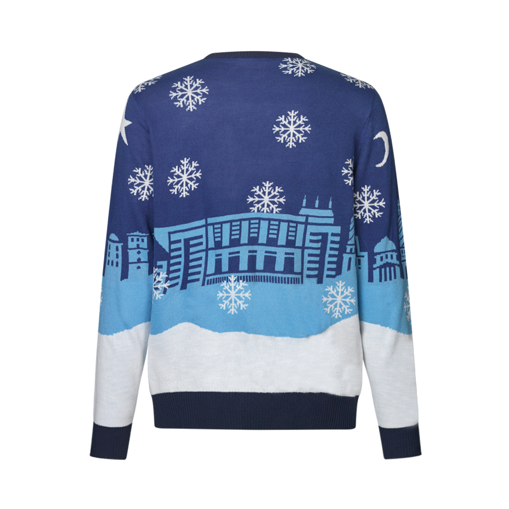 Christmas sweater 2024 Kids