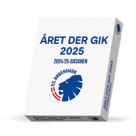 Året der gik 2025 Fan Game