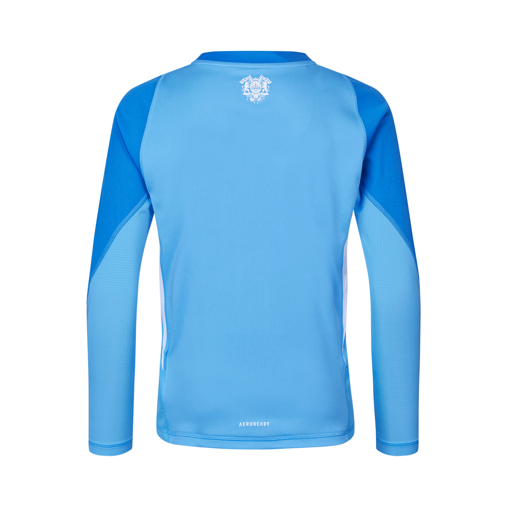 Goalkeeper jersey 25/26 long sleeve child - Blue