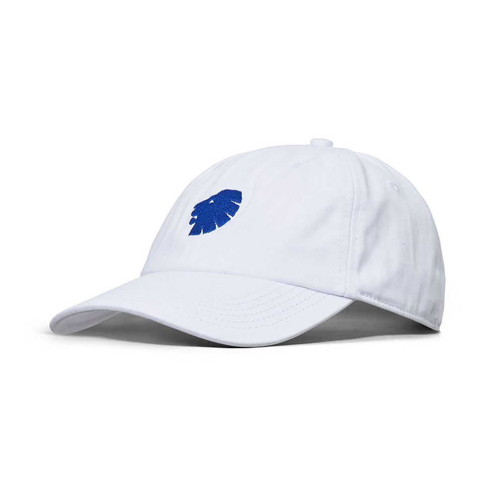 Dad Cap