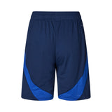 FCK Away Shorts 24/25 (Men's Team)